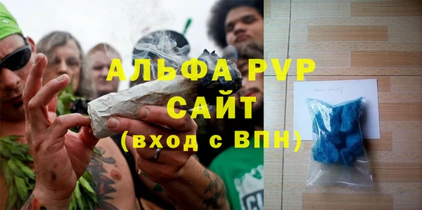 сатива Вяземский