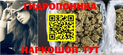 МДПВ Дубна