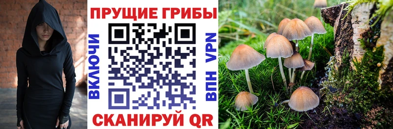 продажа наркотиков  Алапаевск  Псилоцибиновые грибы Magic Shrooms 