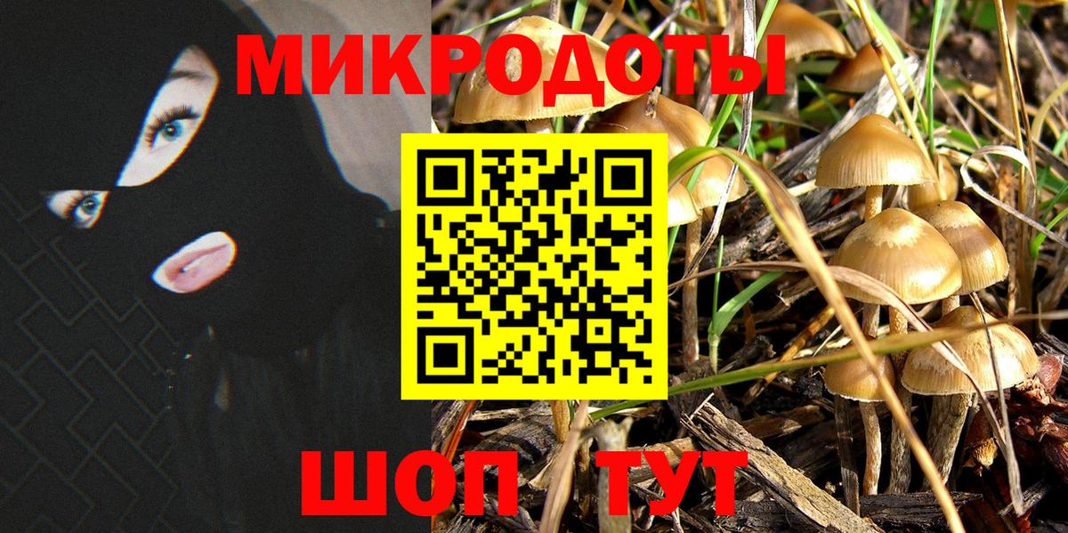 Псилоцибиновые грибы Psilocybe  Вход с VPN  Алапаевск 